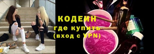 молекула духа Няндома