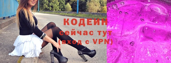 молекула духа Няндома