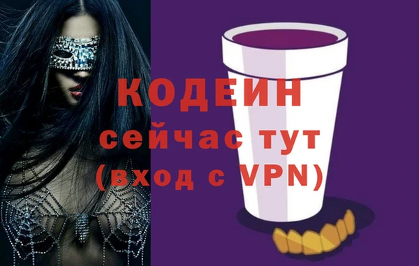 индика Нязепетровск